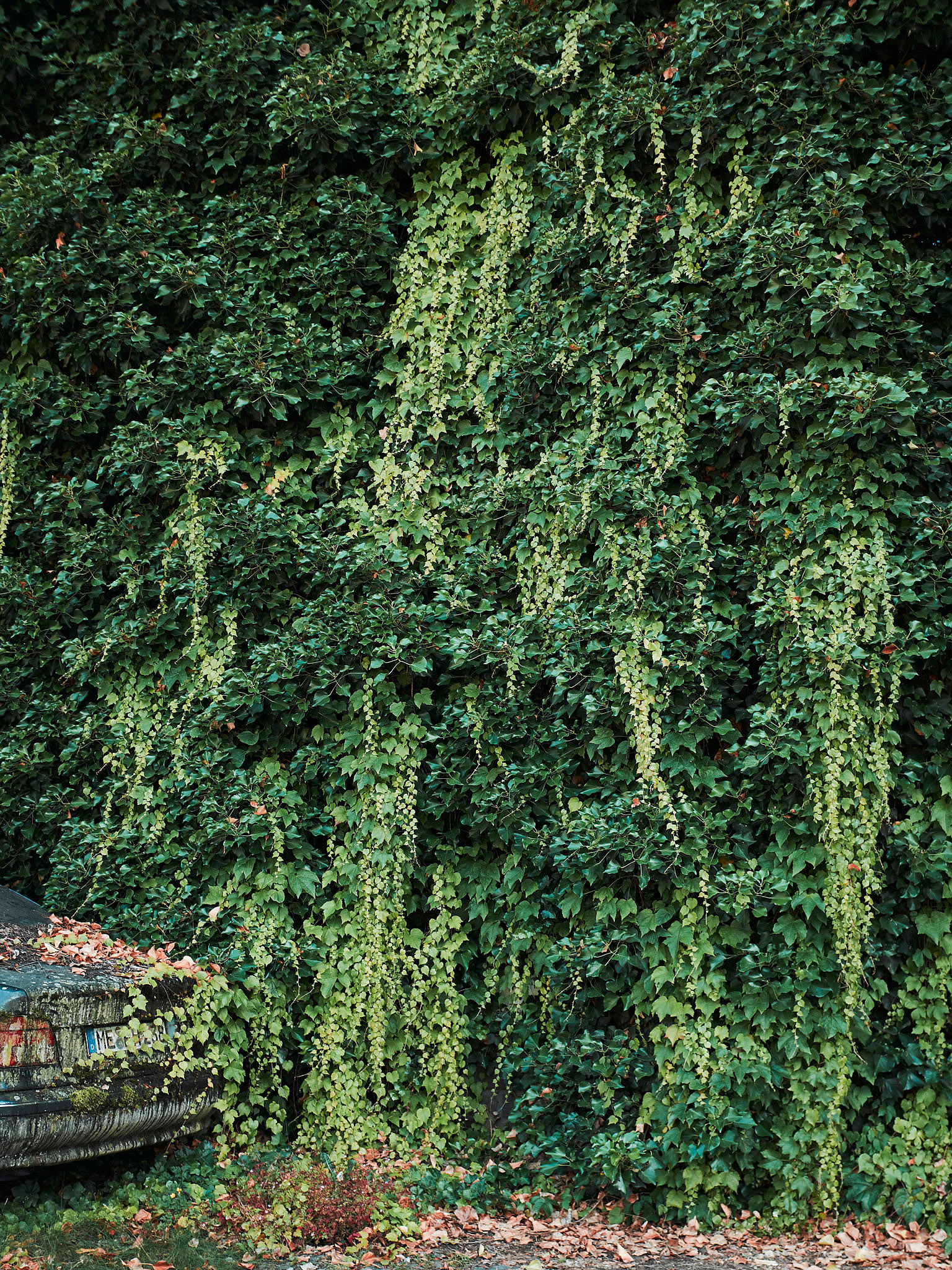 STEPHAN LUCIUS LEMKE