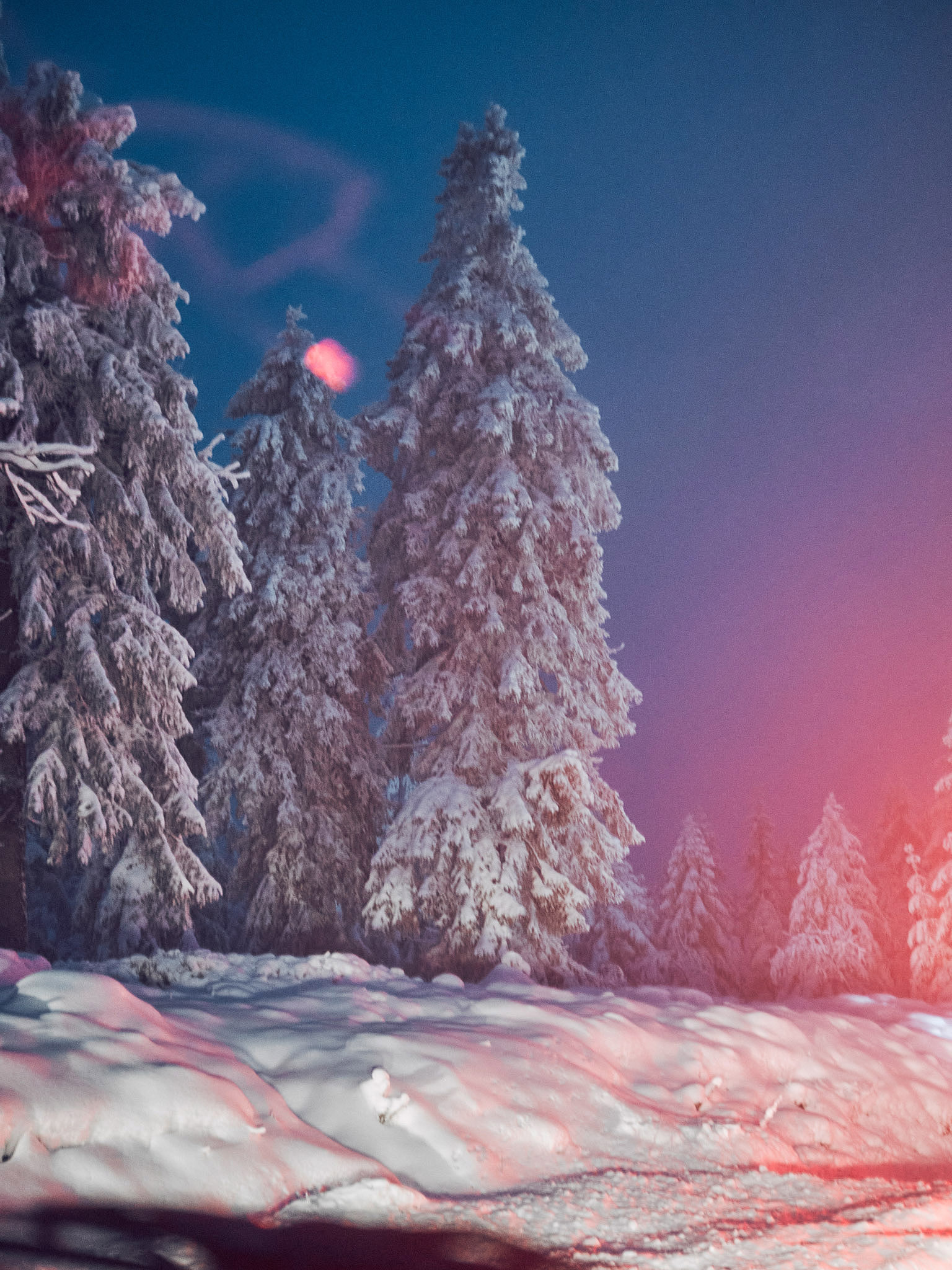 STEPHAN LUCIUS LEMKE