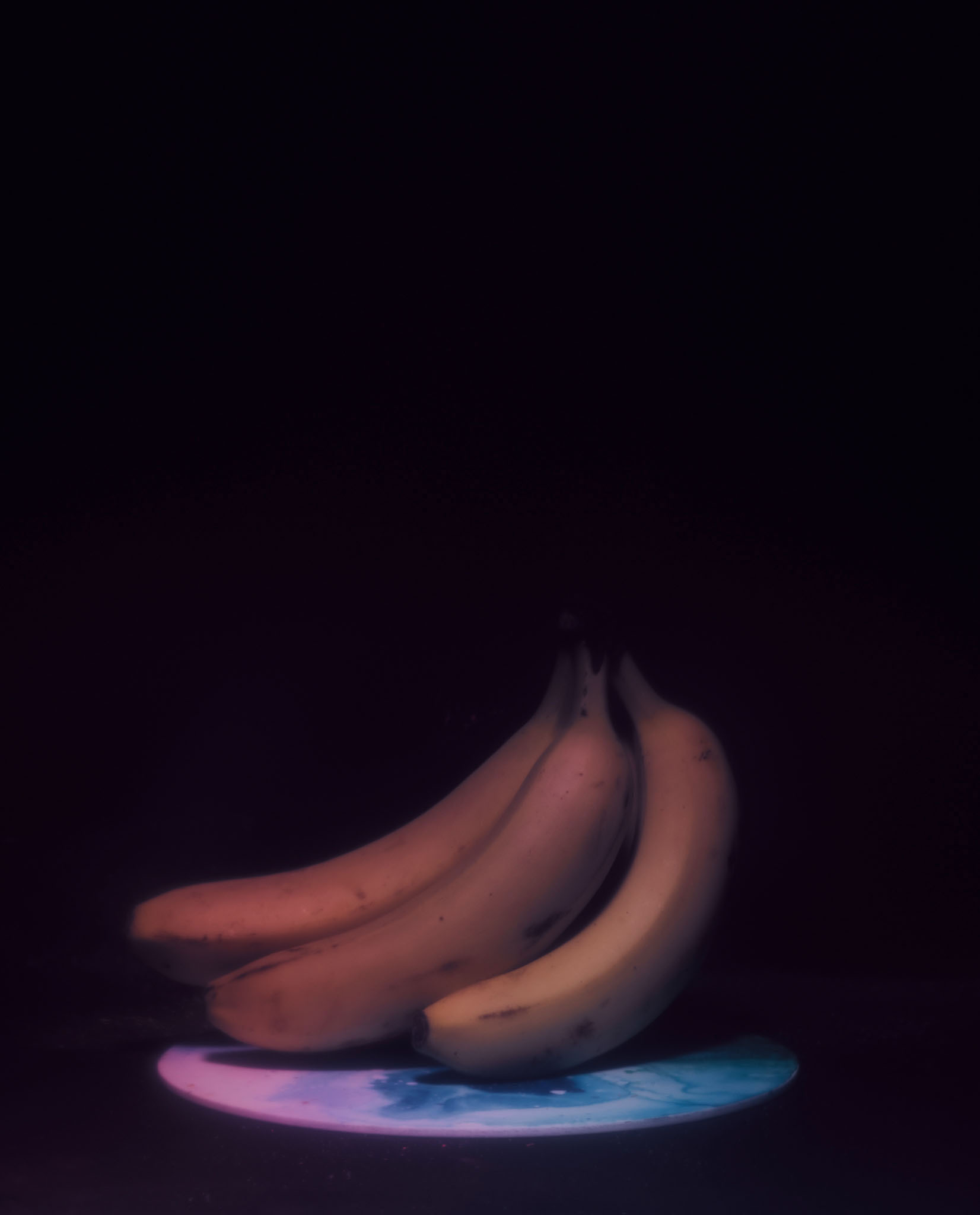 STEPHAN LUCIUS LEMKE