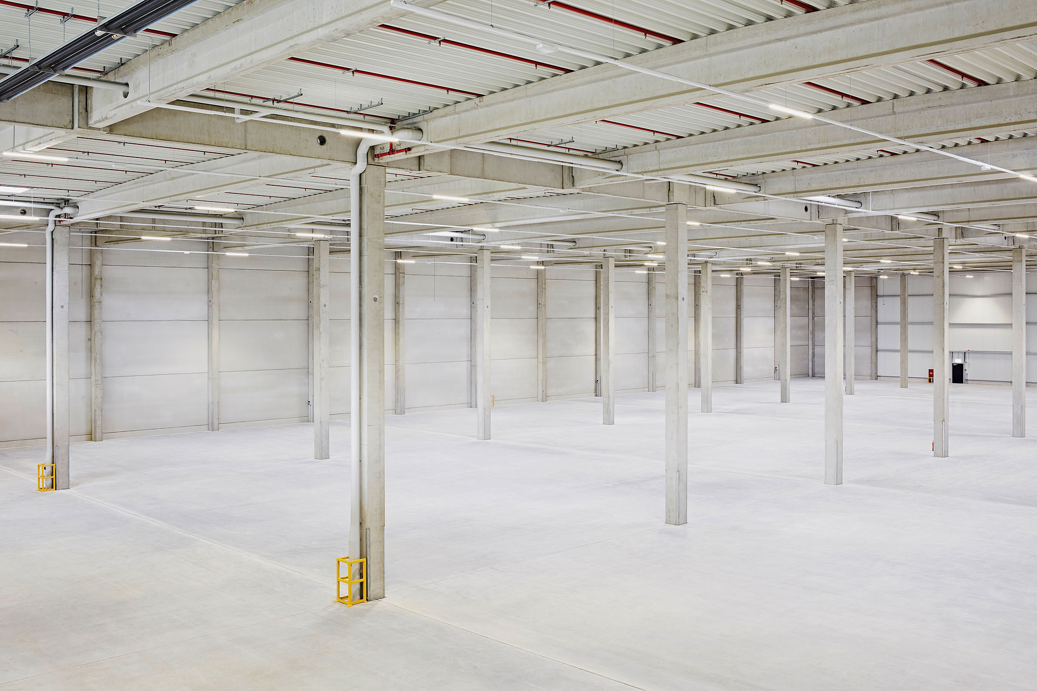 STEPHAN LUCIUS LEMKE