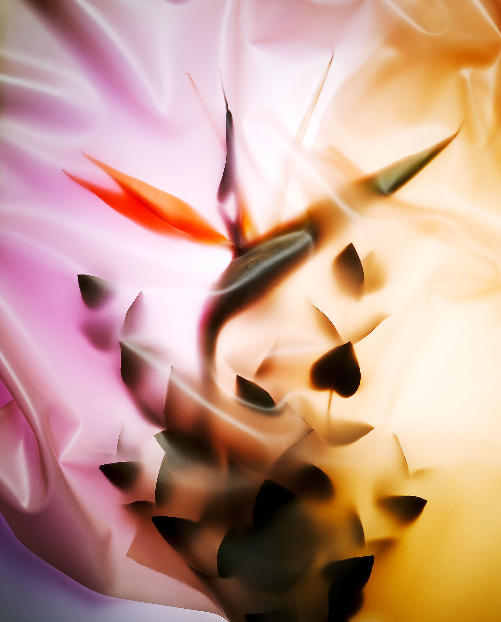 STEPHAN LUCIUS LEMKE