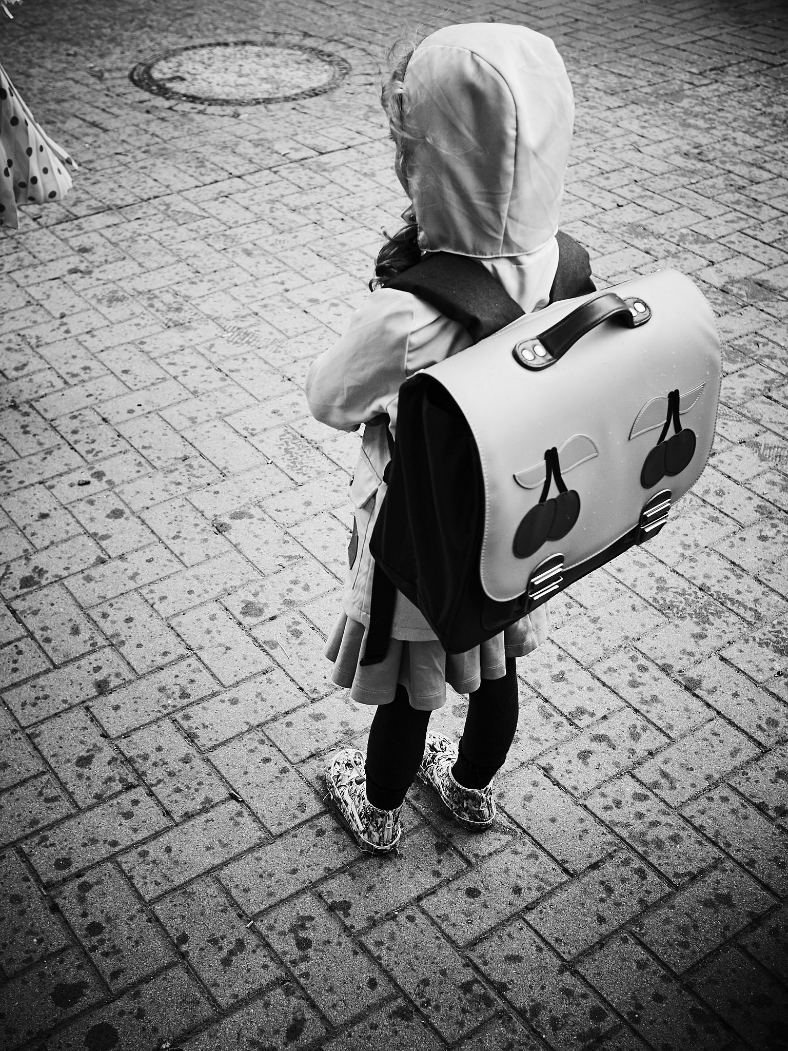 STEPHAN LUCIUS LEMKE