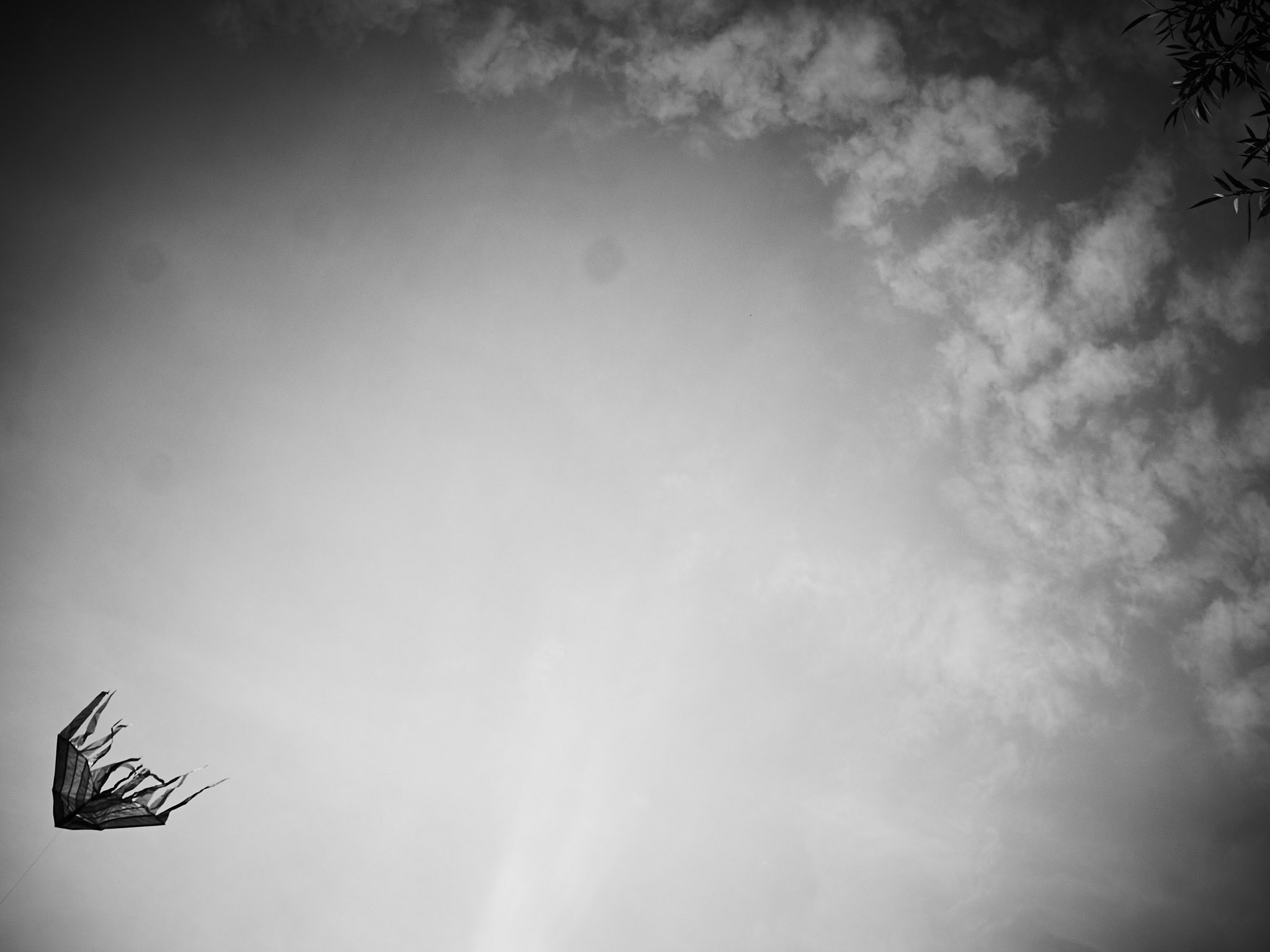 STEPHAN LUCIUS LEMKE