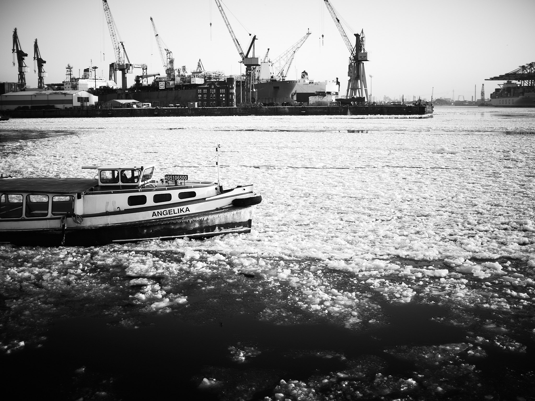 STEPHAN LUCIUS LEMKE