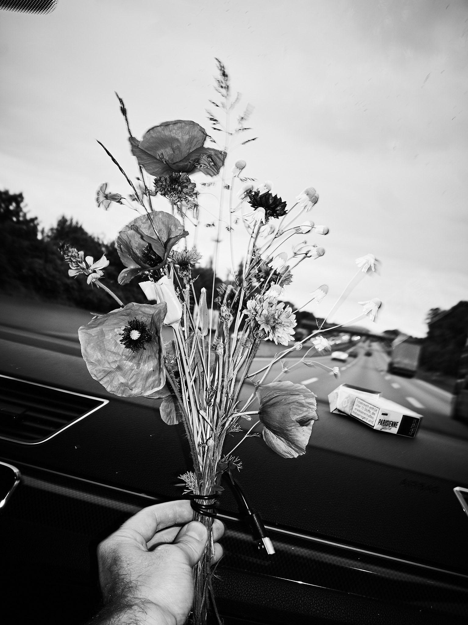 STEPHAN LUCIUS LEMKE