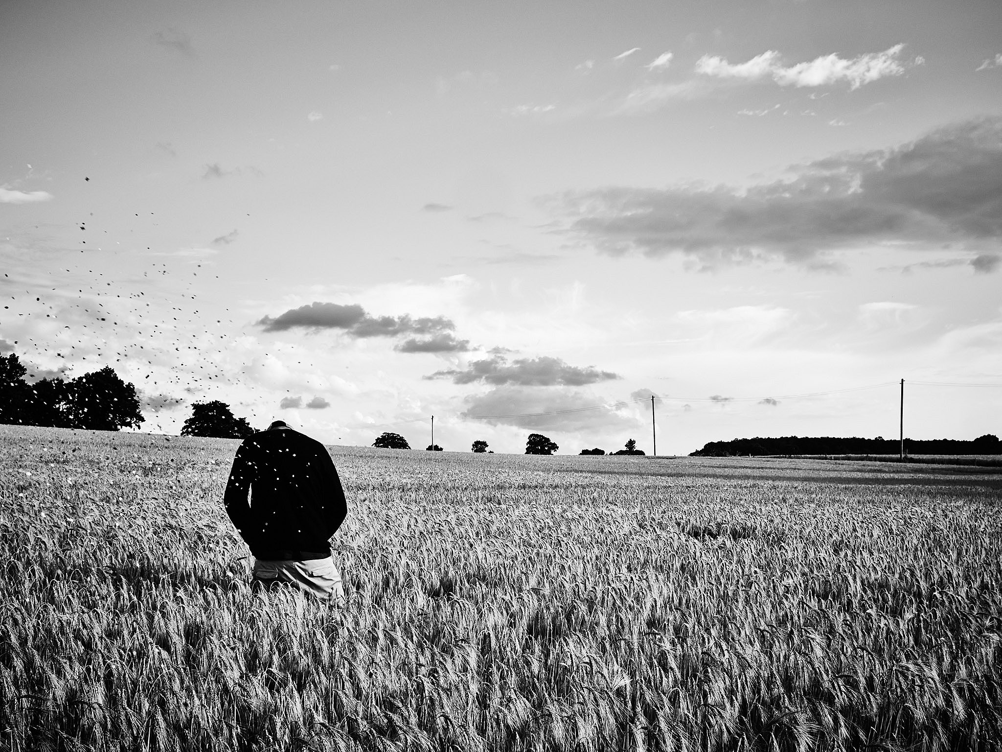 STEPHAN LUCIUS LEMKE