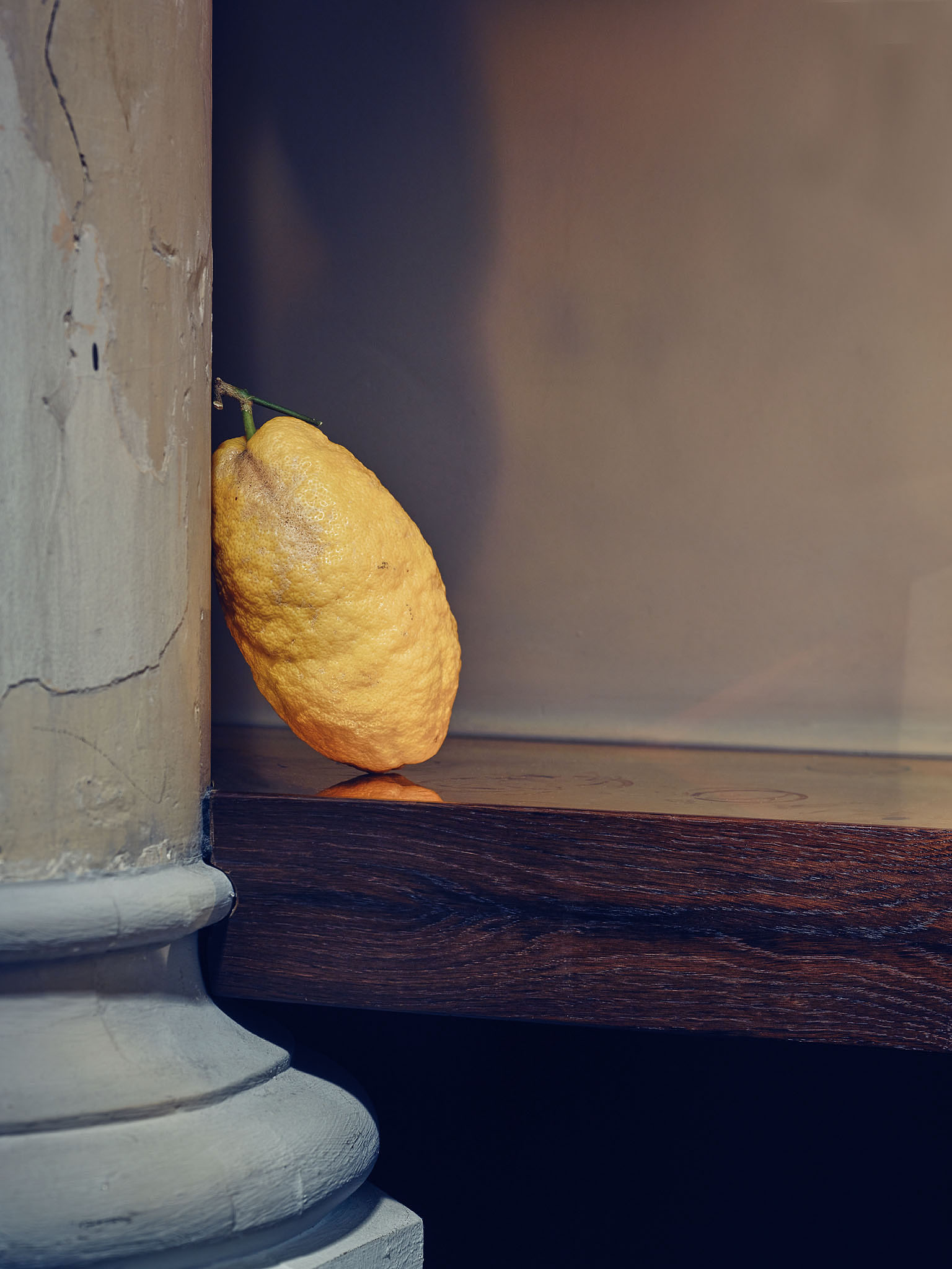 STEPHAN LUCIUS LEMKE