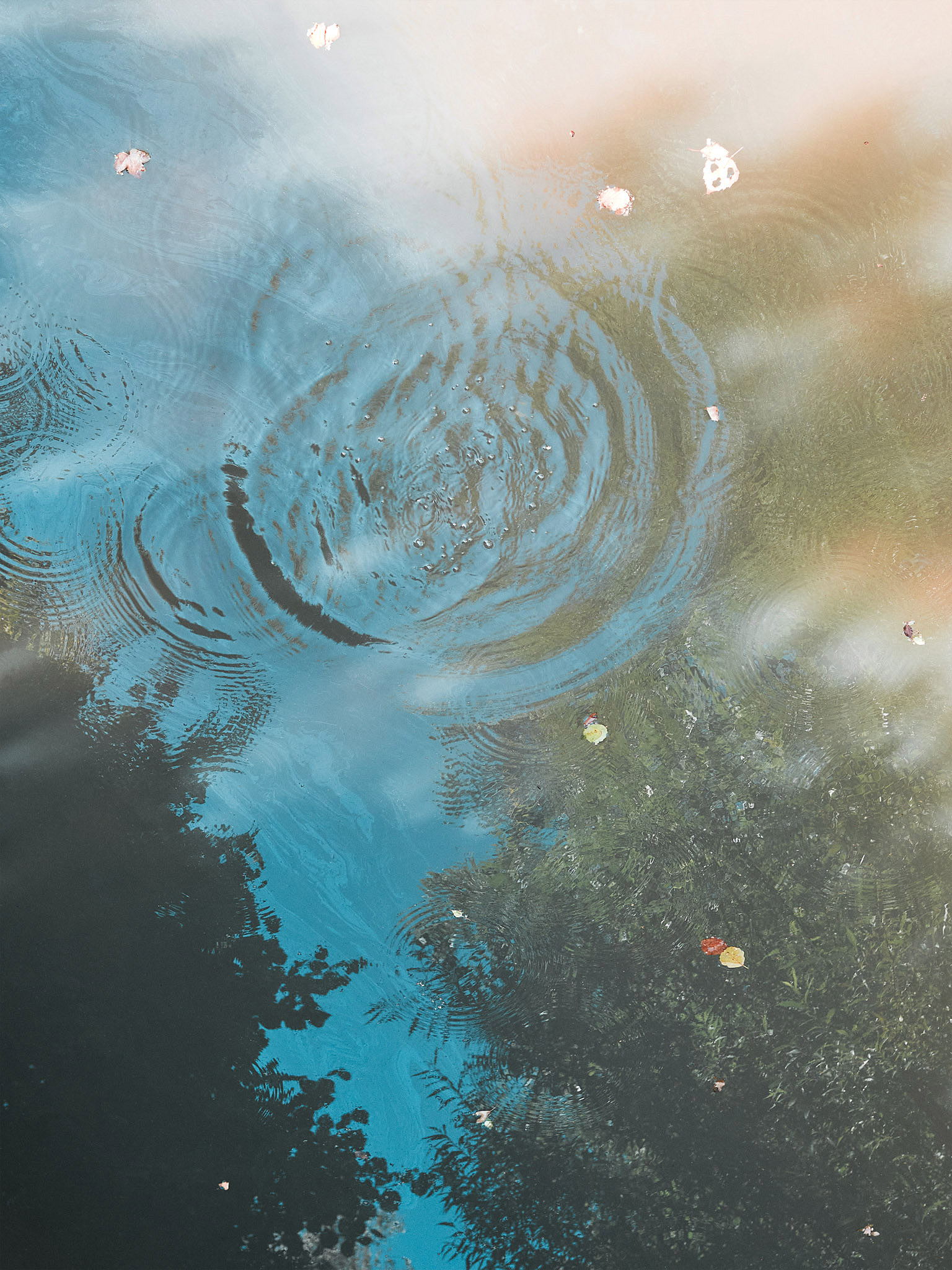 STEPHAN LUCIUS LEMKE