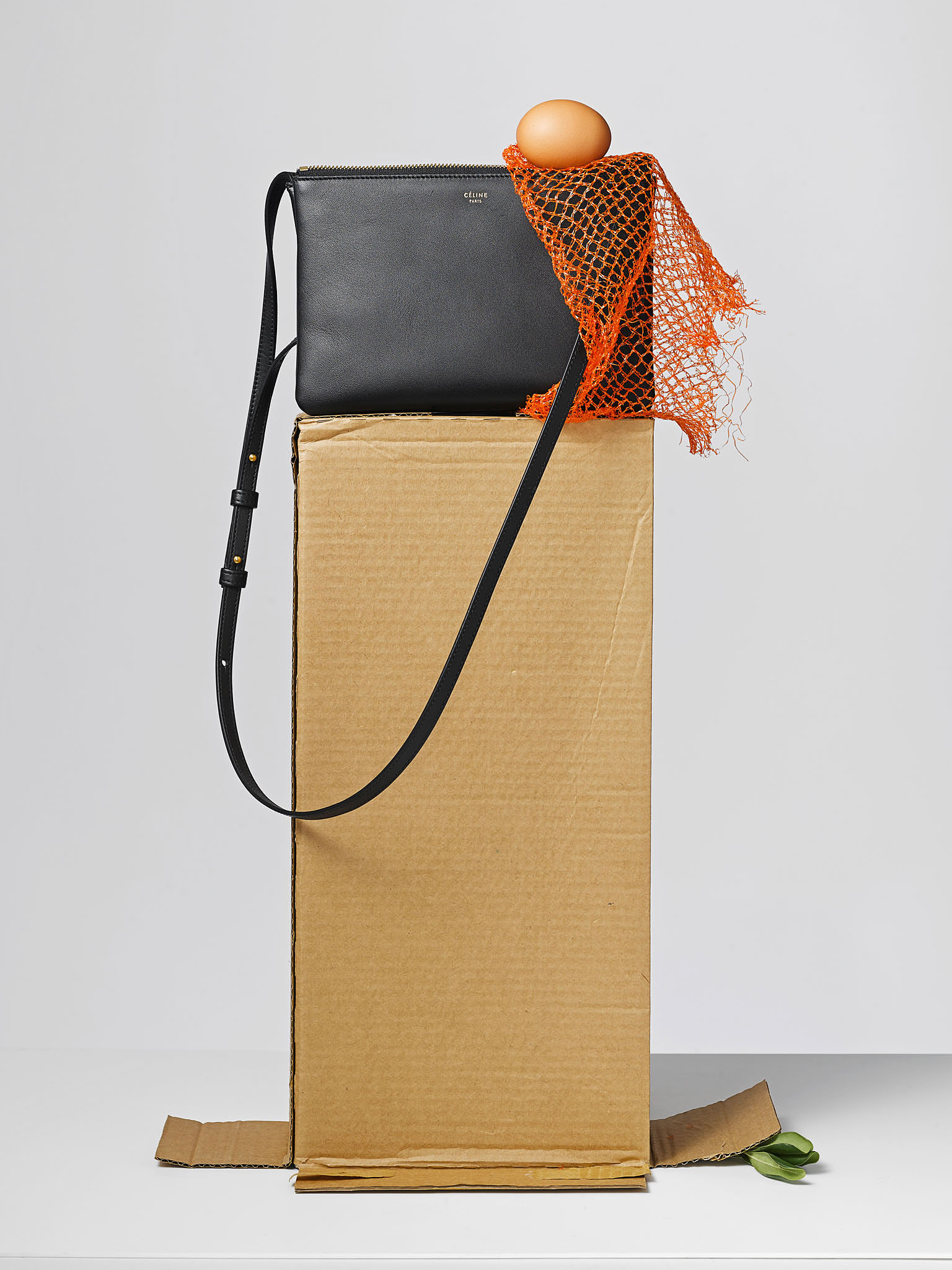 STEPHAN LUCIUS LEMKE