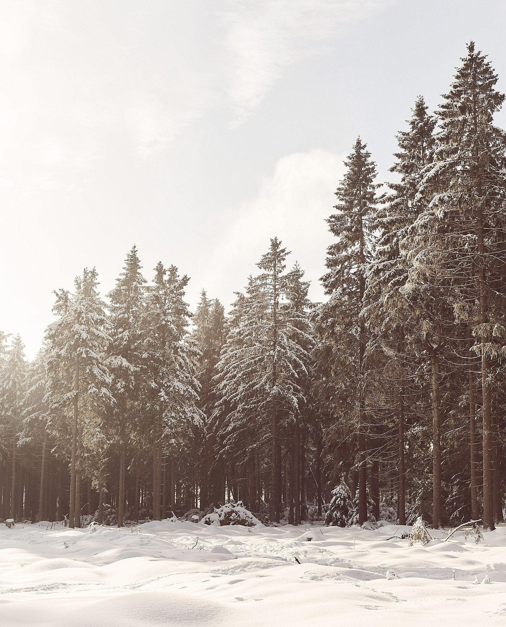 STEPHAN LUCIUS LEMKE