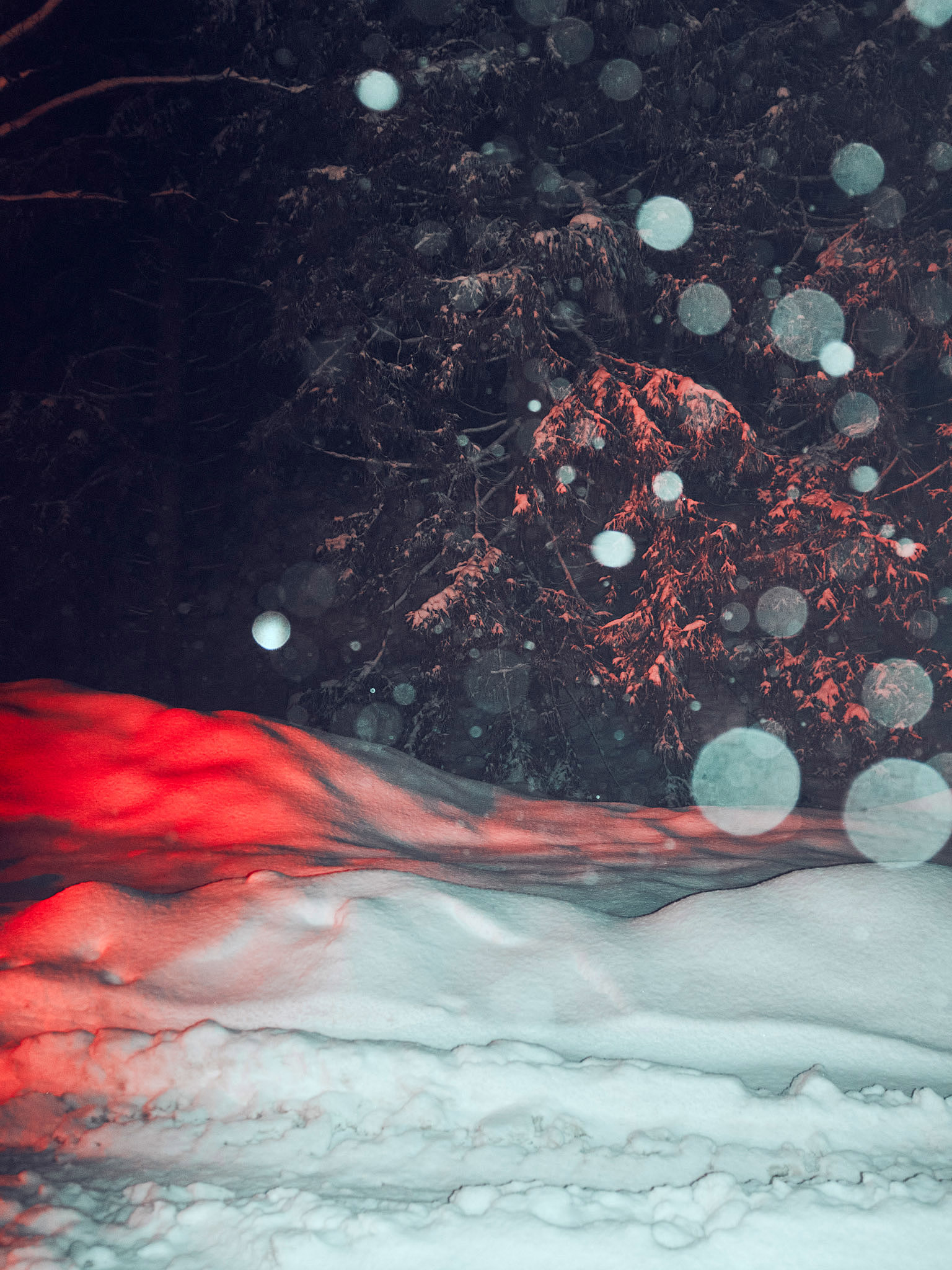 STEPHAN LUCIUS LEMKE