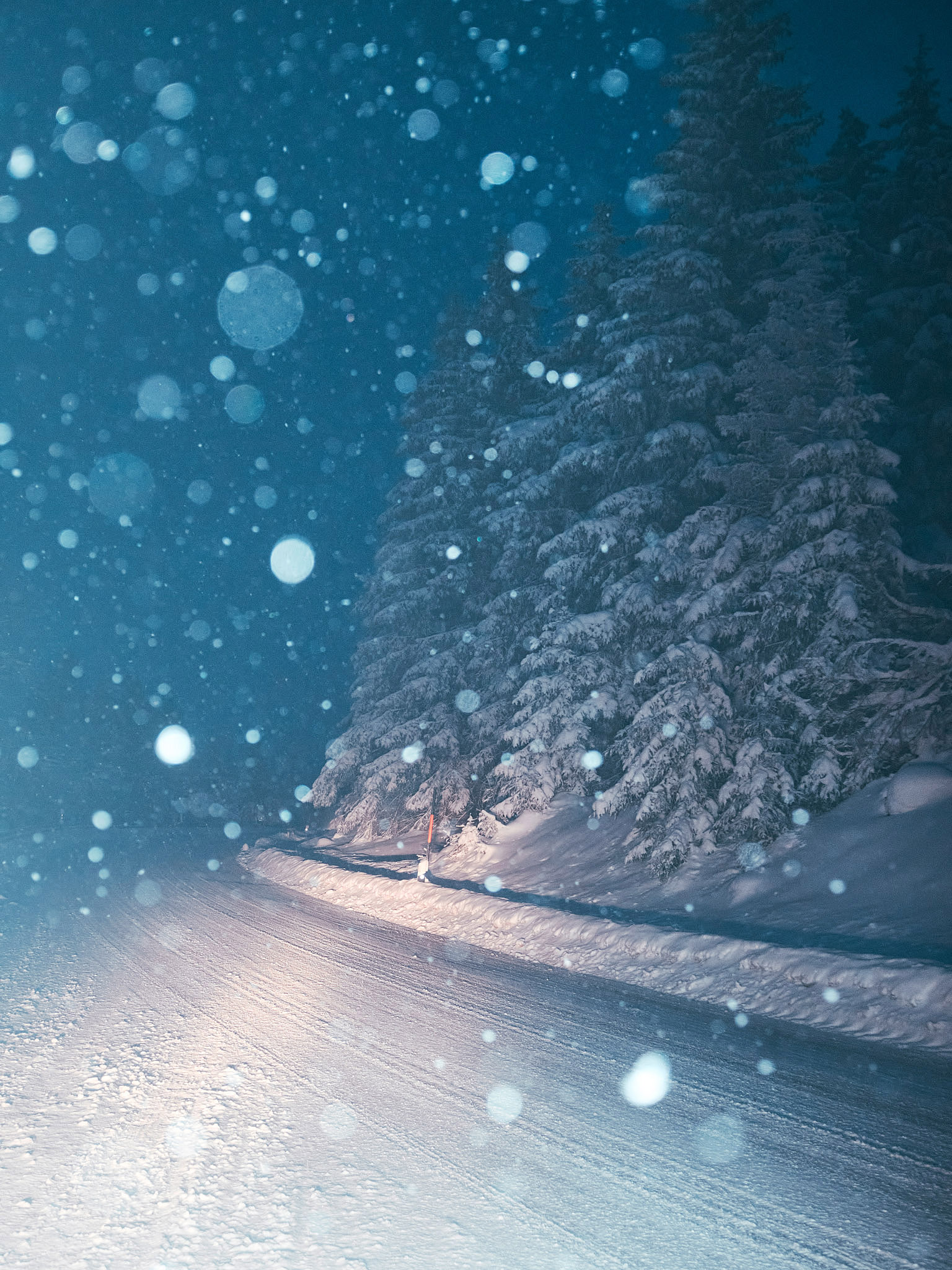 STEPHAN LUCIUS LEMKE