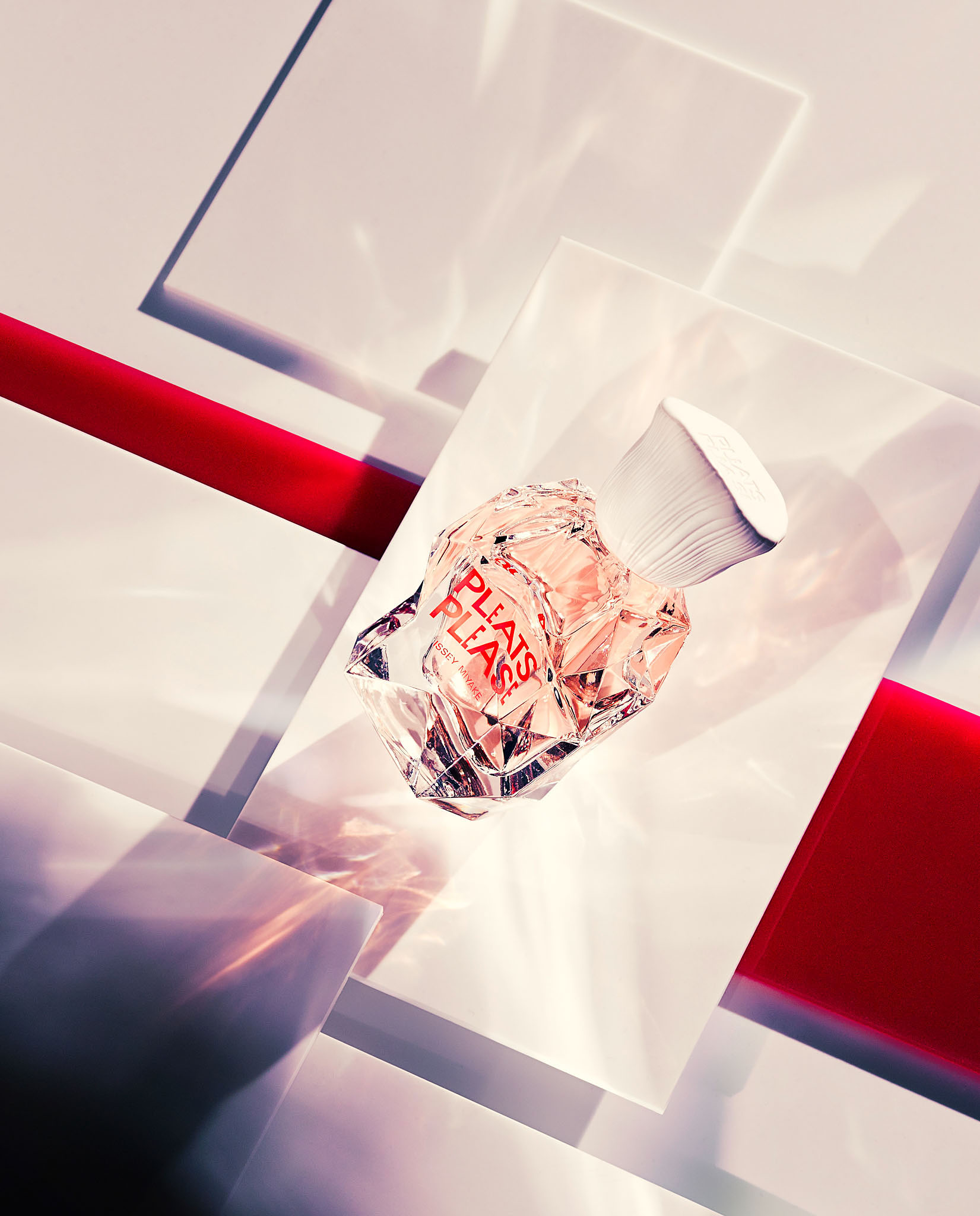 STEPHAN LUCIUS LEMKE