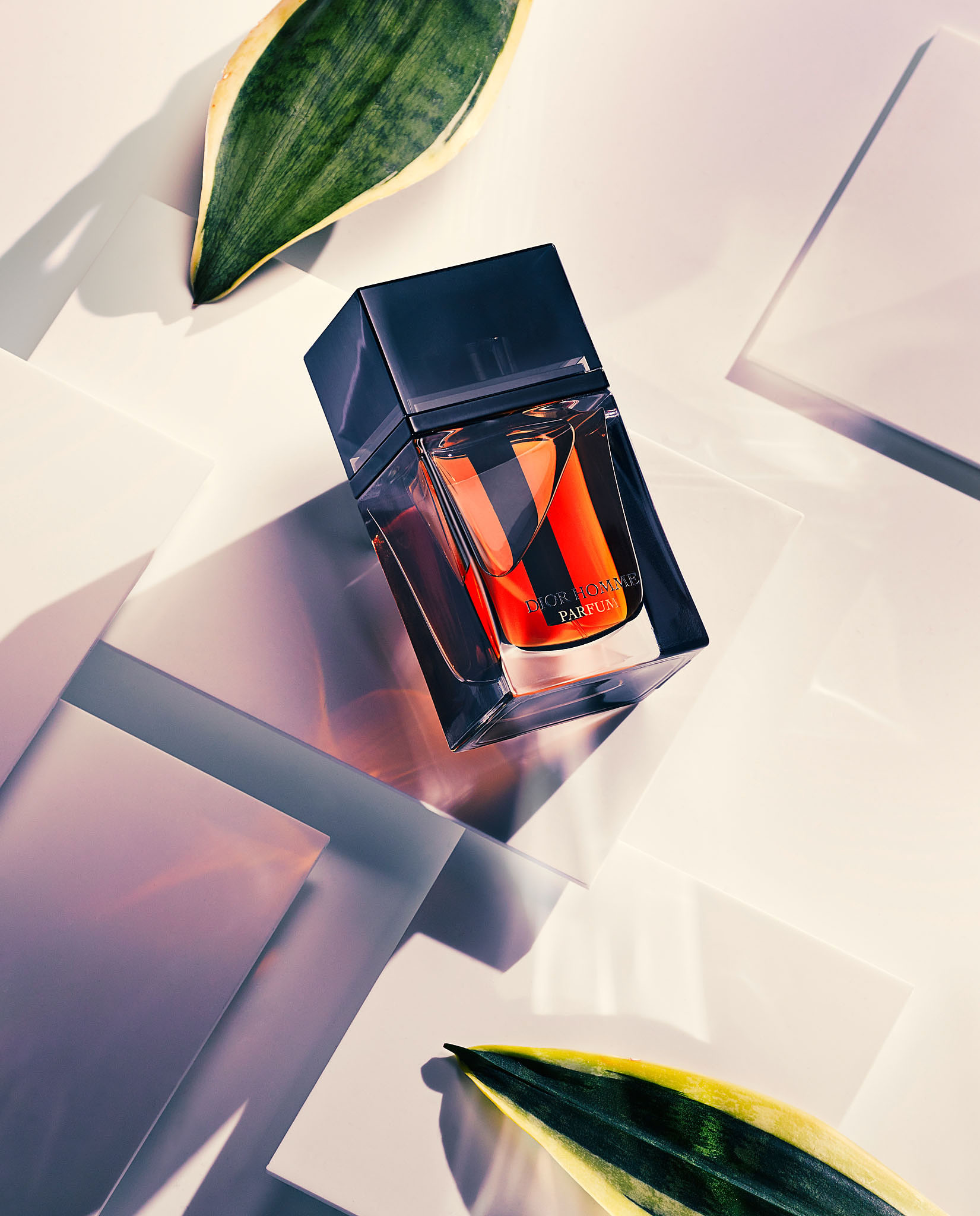 STEPHAN LUCIUS LEMKE