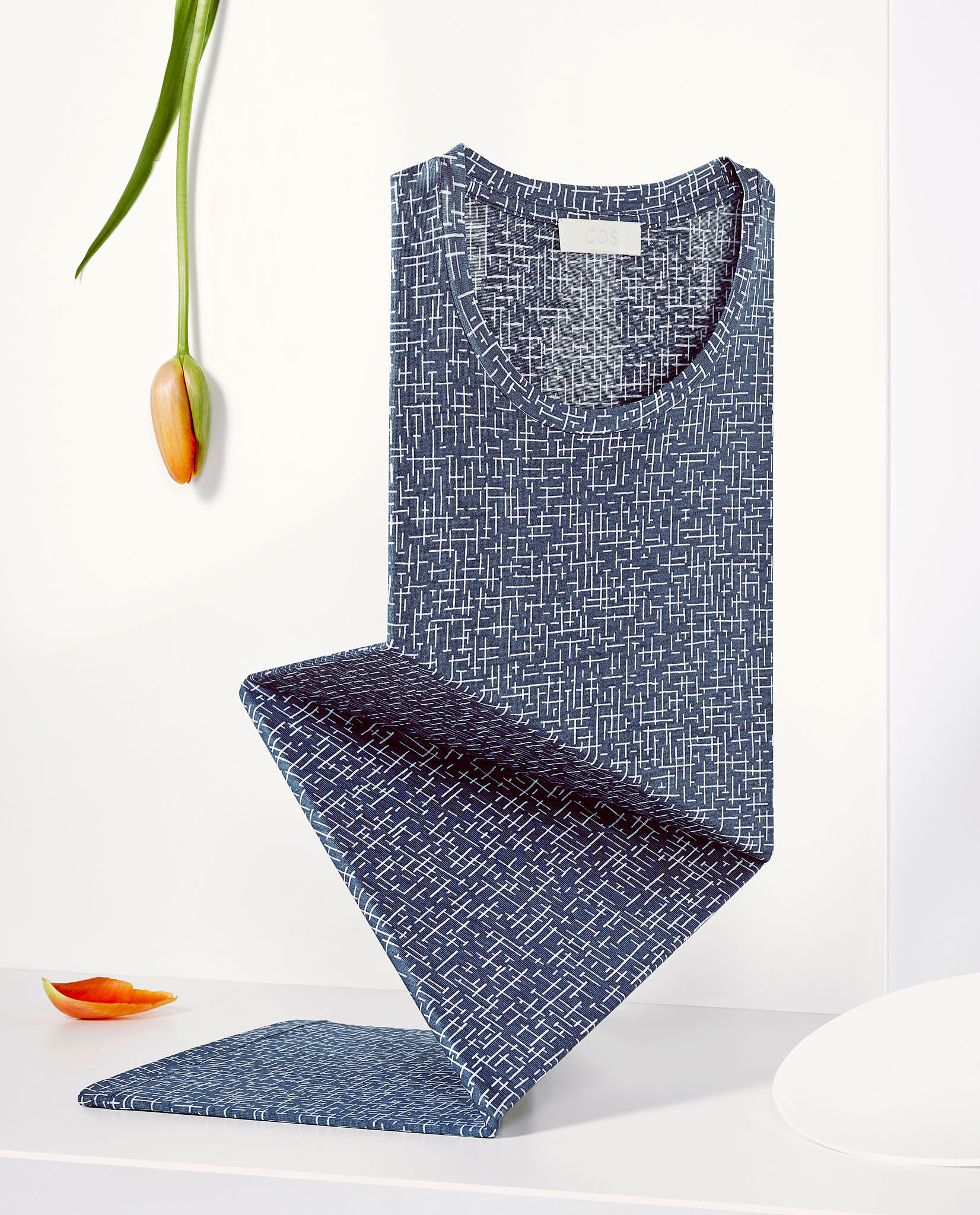 STEPHAN LUCIUS LEMKE