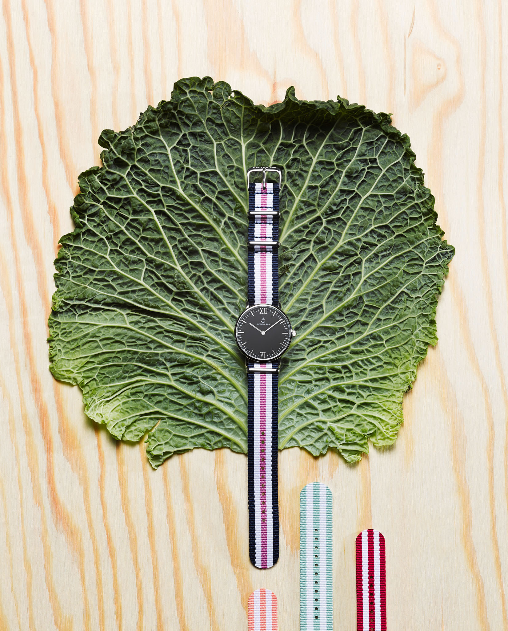 STEPHAN LUCIUS LEMKE