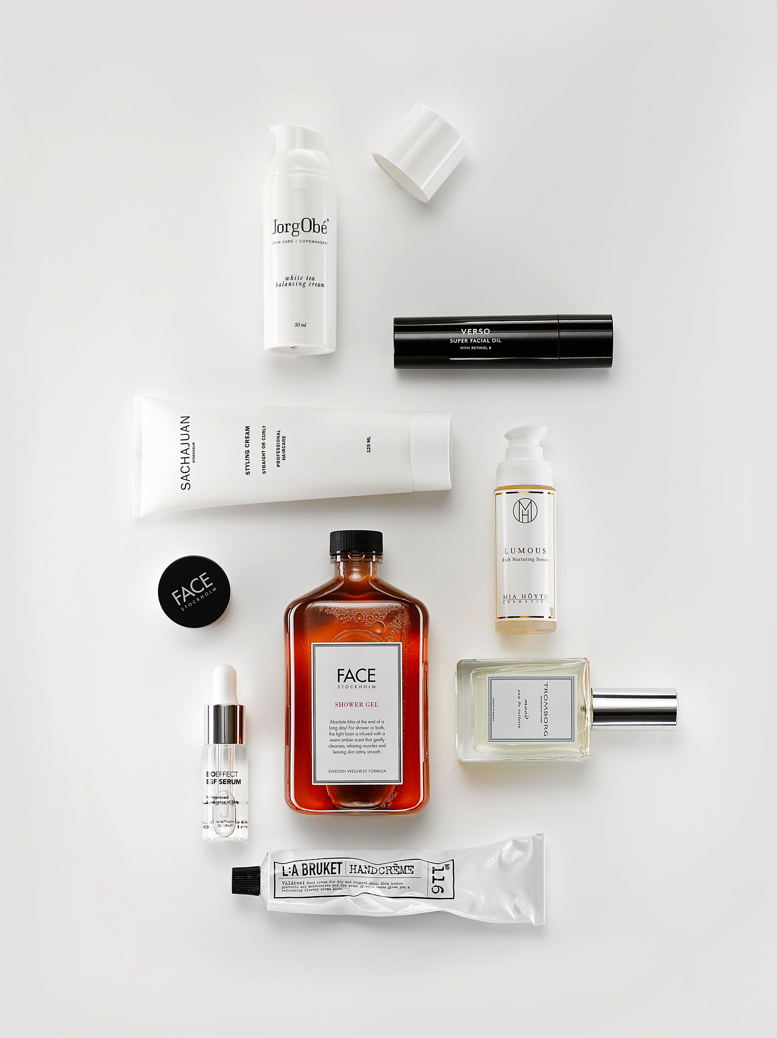 STEPHAN LUCIUS LEMKE