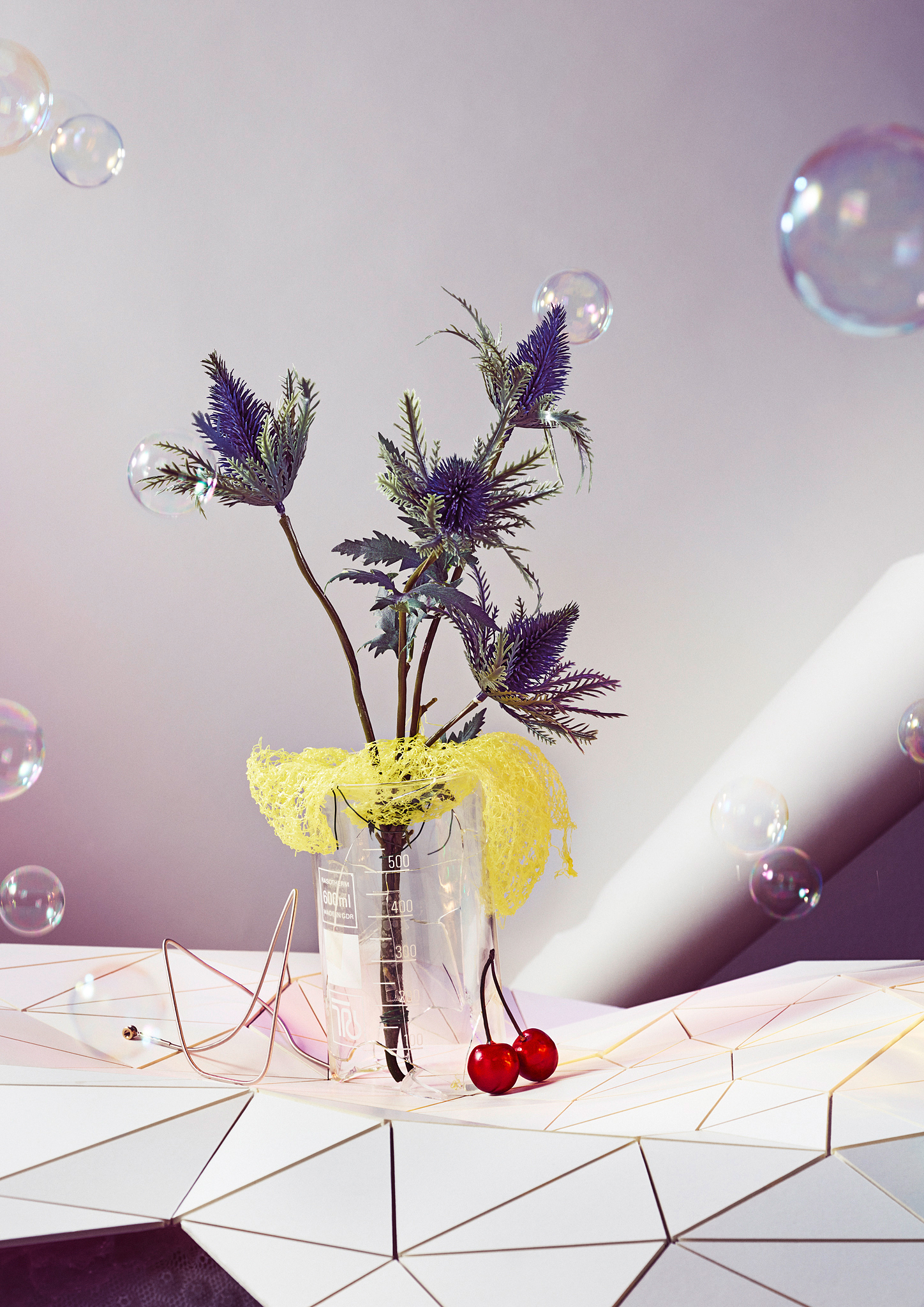 STEPHAN LUCIUS LEMKE